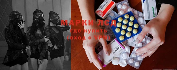 эйфоретик Баксан
