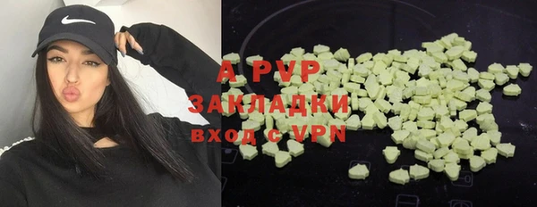 эйфоретик Баксан