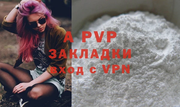 эйфоретик Баксан