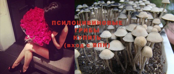 эйфоретик Баксан