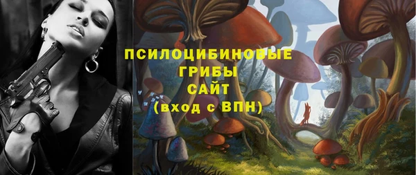 эйфоретик Баксан