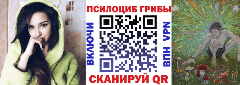 Псилоцибиновые грибы Psilocybe  МЕГА зеркало  Бор  наркошоп 